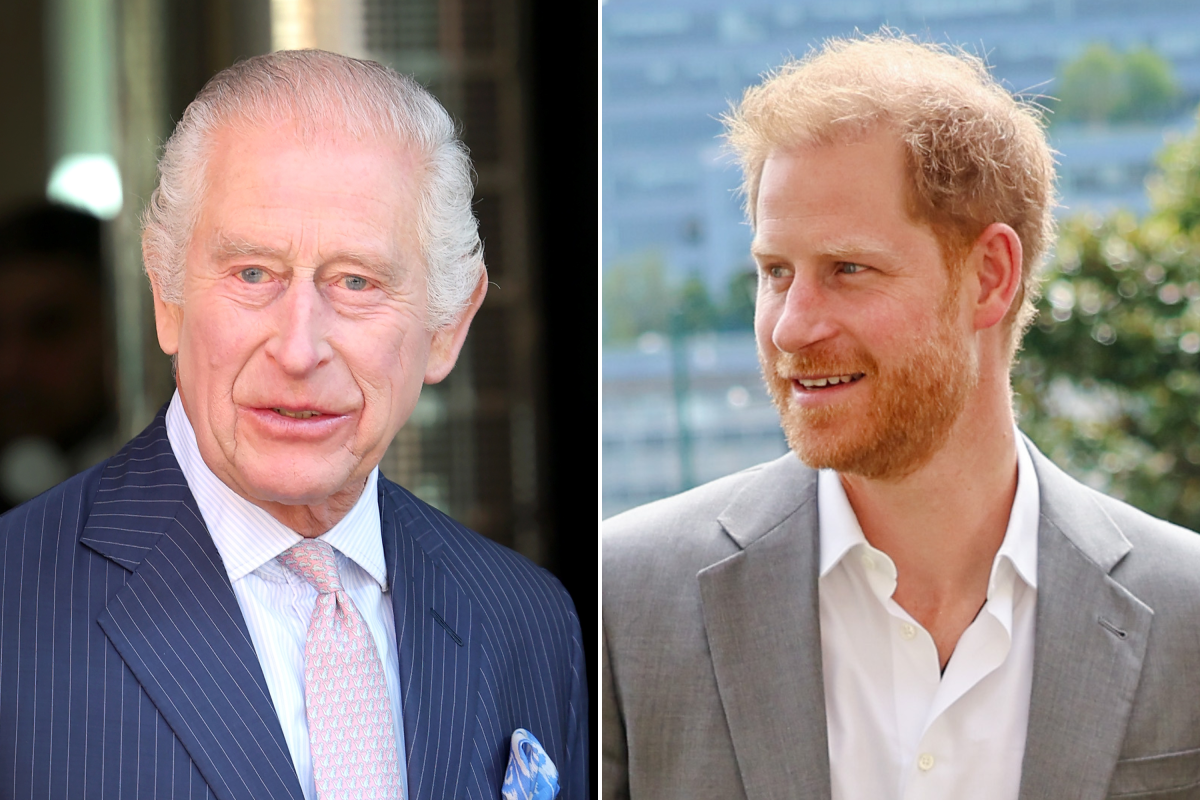 King Charles ‘of course wanted’ to meet Prince Harry on UK trip but failed because…